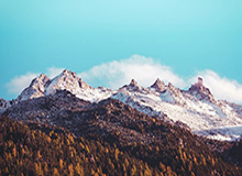 九游游戏：让手游生态成为你的日常伙伴